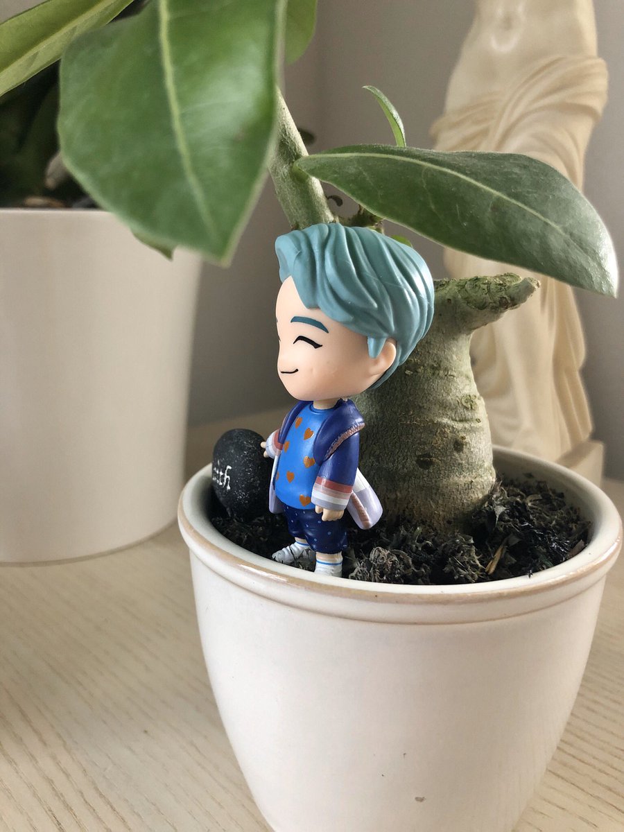 My mini Namu is #Namjooning in my bonsai tree. 🥺🌿🌳 @BTS_twt