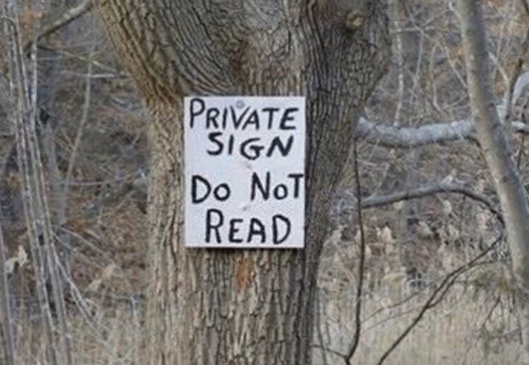 OddNMacabre's tweet image. you didn’t read it, did you???