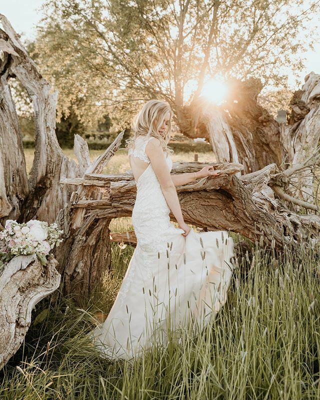 HBImages's tweet photo. Dreaming of summer evenings...... #countrywedding 
#goldenhour 
MUA: @sashabrownmakeupartist 
Florist &amp; Stylist: @jennyfleurflorist 
Dress: @bydesigngloucester 
Model: @iz.benbow_ 
Mentor: @jamie_dodd_photographer https://t.co/aUTTskv6PM https://t.co/5CNk48Wakh