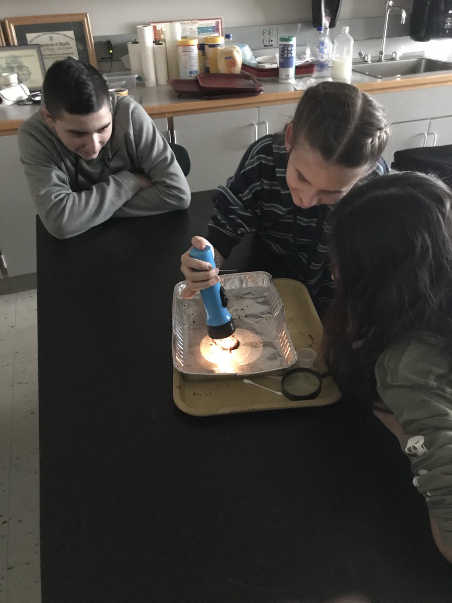 Exploring how earthworms respond to stimuli! <a href="/mulliganNMS/">Mrs. Mulligan</a> always makes science so much fun!