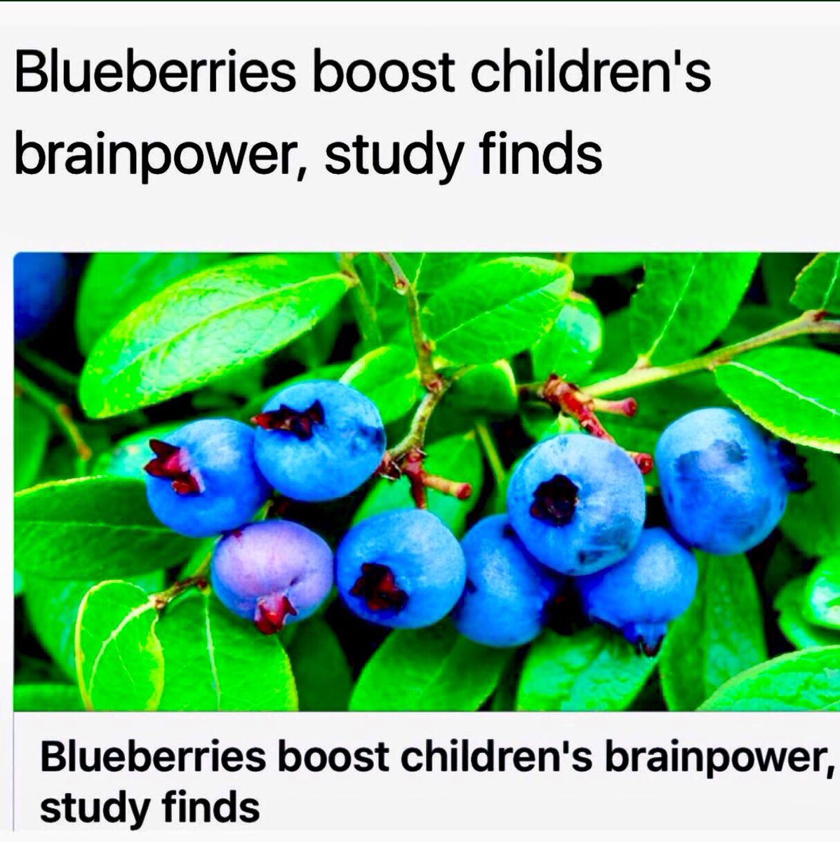 skip2bfit's tweet photo. A massive BERRY WELL DONE @ShawleyPrimary in Epsom today to all 300 children taking part in our FUN Skip2Bfit CHALLENGE! @ActiveSurrey @TattenhamXmas @whatsoninepsom #edchat #growthmindset #edutwitter #primarypeshare #Epsom #skippingworkshop #skip2bfit #personaldevelopment https://t.co/zERfAoKeEt