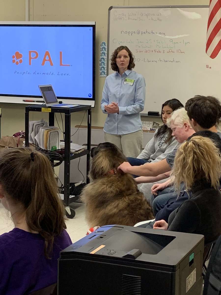 ACHS_Maverick's tweet photo. Dr. O’Keefe brought her therapy dogs, Aslan and Diggery, to visit. #therapydogs #stressmanagement ⁦@APSCareerCenter⁩ ⁦@APS_CTAE⁩ https://t.co/cPpNr5ZgcY