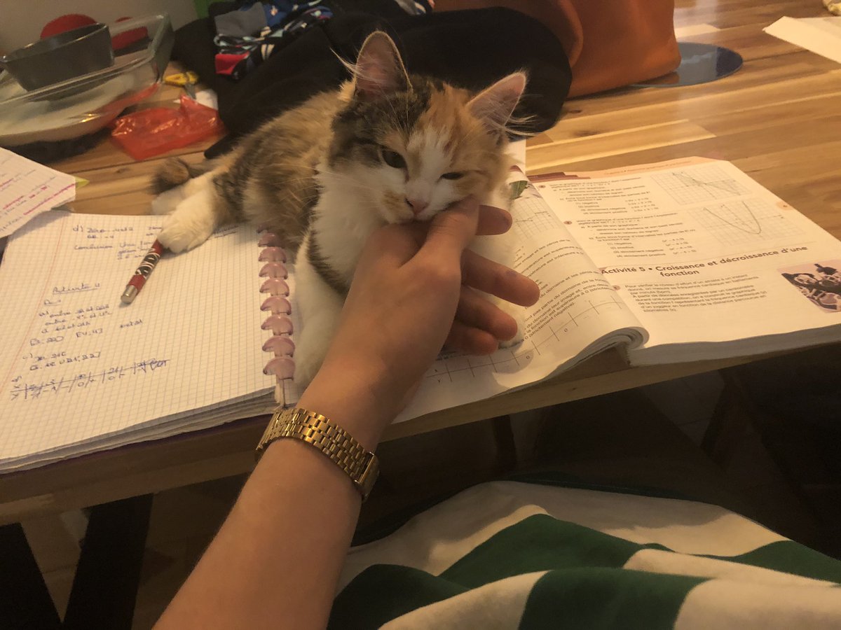 Parents : Pourquoi t’as raté ton année ?

Moi :