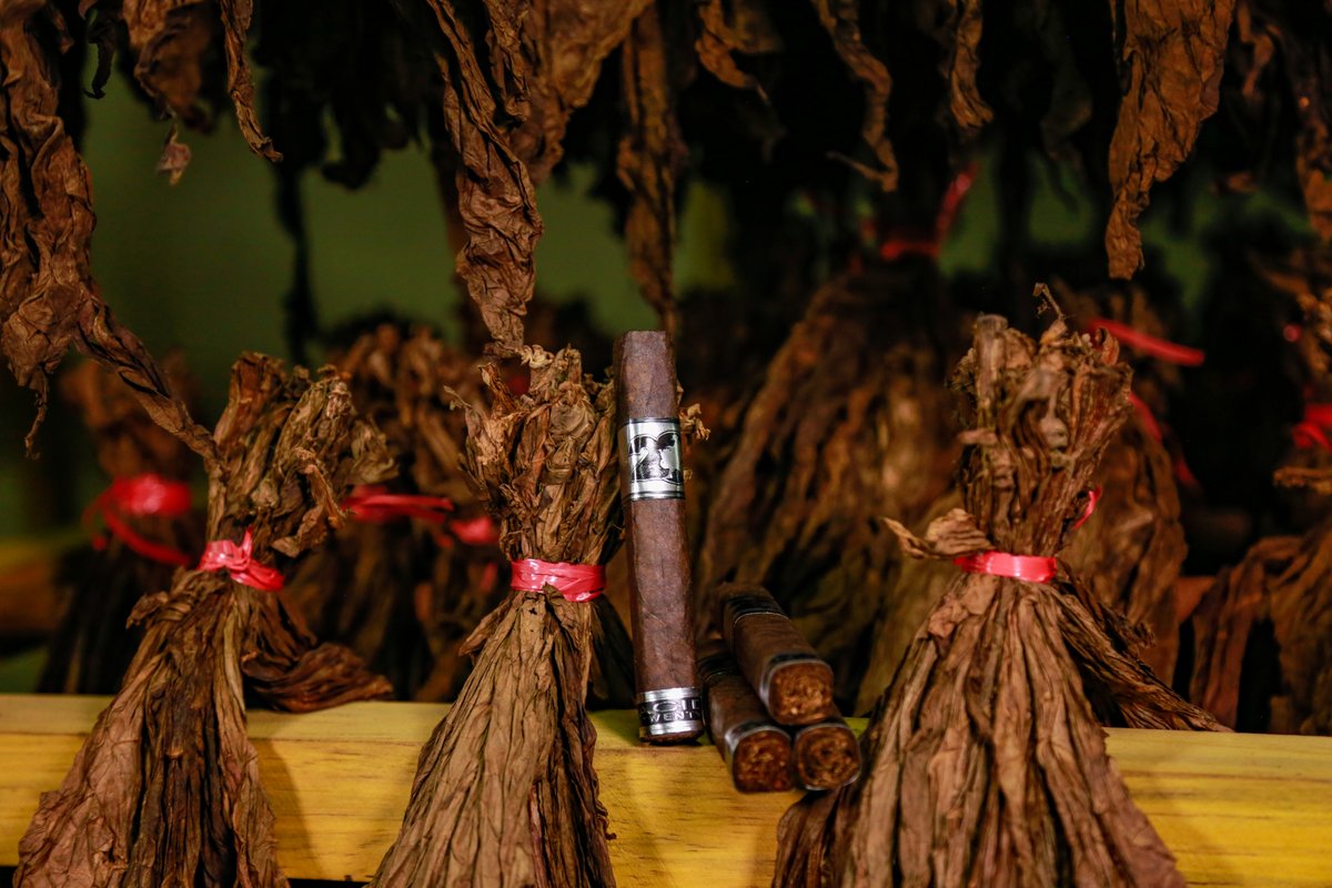 ExperienceACID's tweet photo. With a rich Mexican San Andreas wrapper, and a subtle profile ACID 20 is perfect for both the traditionalist and the ACID fan. #ExperienceACID #ACID20 #de4l #cigar #cigars https://t.co/67GyY2jYCZ