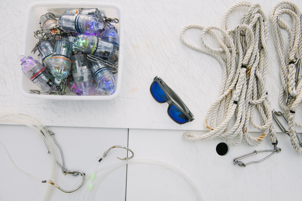 Kaenon's tweet photo. Ready for the deep drop.
.
.
🕶️ || Clarke - Carbon
👁️ || G12 Pacific Blue Mirror
.
.
#kaenon #builtforoutsiders https://t.co/jj0R6jxrmu