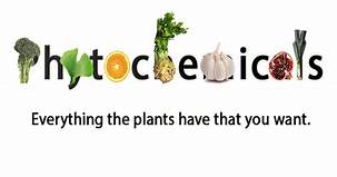 SaxonHealth's tweet photo. With their wealth of health benefits and wide variety of choices, regularly including brassica vegetables in the diet is a daily habit that is likely to pay off. #saxonhealth #holistichealth https://t.co/MP9UosYSpk