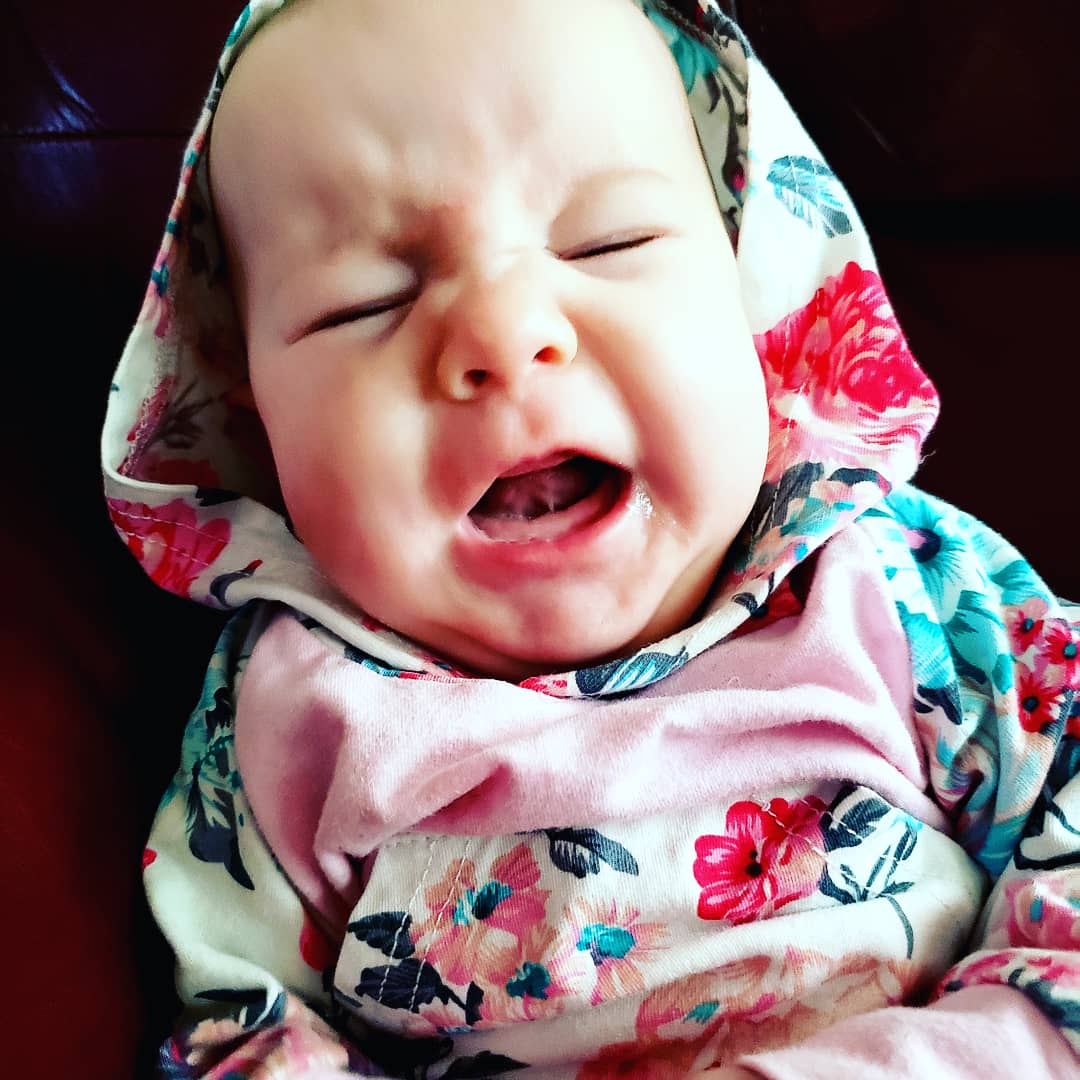 kclmarshall's tweet photo. Attempt 3,000 to get a smile on camera.  This is what I got! https://t.co/TefJdK2lIR