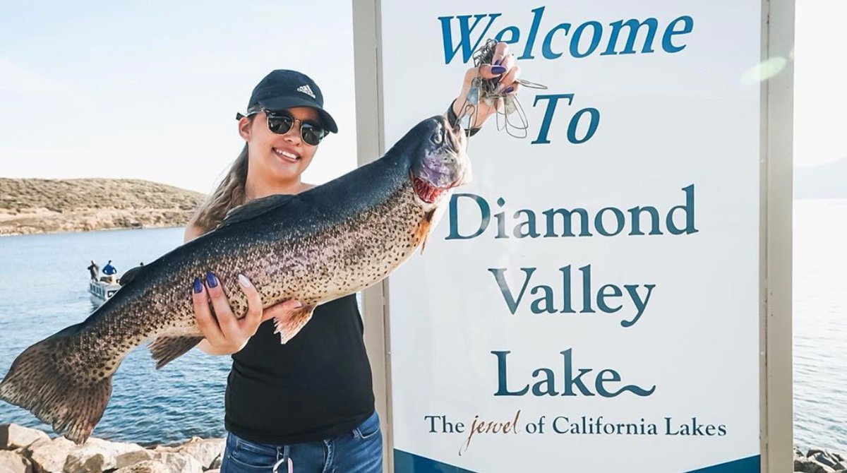 KayOhsee's tweet photo. Every time I catch a fish they just keep getting bigger &amp; bigger!! Caught my 8 pounder yesterday @ Diamond Valley Lake! 🎣🐟 #girlswhofish #trout https://t.co/x9bmTp8WNa