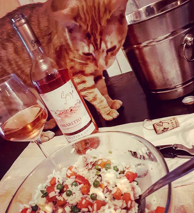 diveteree's tweet photo. Voglia d'estate: kitten rosato e insalata di riso
.
#rosato #rose #mantova #chiaretto #insalatadiriso #gattin #kitten #bestbitter #vino #vinoitaliano #vin #wein #wine #winetasting #winelover #winelife #divagazionieteree #sommelierlife #sommmelier https://t.co/ZSVgGTEvcF https://t.co/fpIVQzhWSA