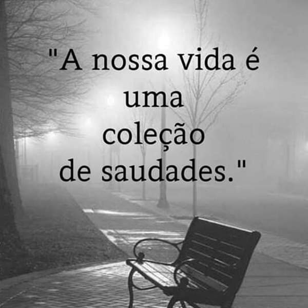 Fabio Antonio Pereir tweet media