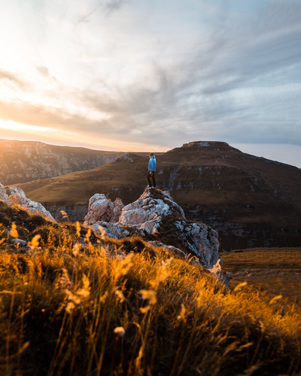 Creative Collective tweet media