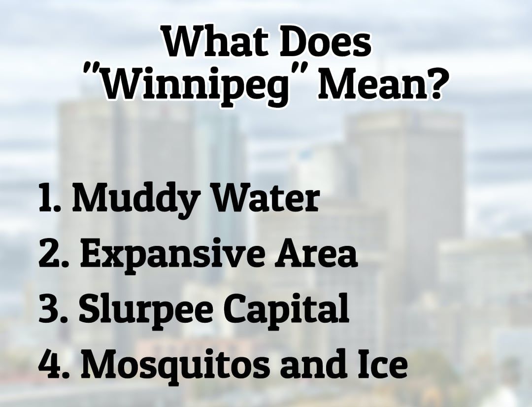 KildonanPlace's tweet photo. HINT: It's not #3 π
#wpg #winnipeg #ywg #onlyinthepeg #explore204 #fortheloveofwinnipeg https://t.co/eht7tUzjhZ