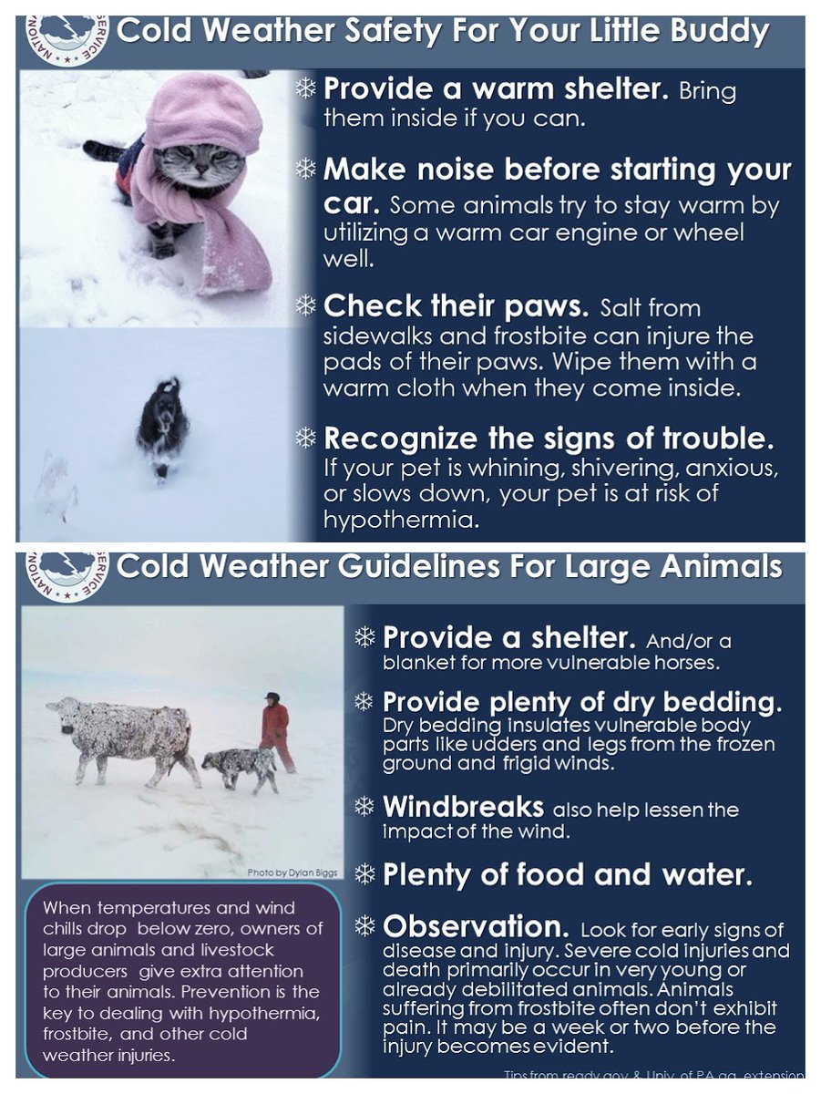 If you see an animal in potentially dangerous situation, please speak with its owner or contact your local authorities RIGHT AWAY. Animals don't have a voice, but you do!

#SpeakUpForAnimals #IfYouSeeSomethingSaySomething #KeepYourAnimalsSafe #AnimalWinterSafety #SoDakFACT