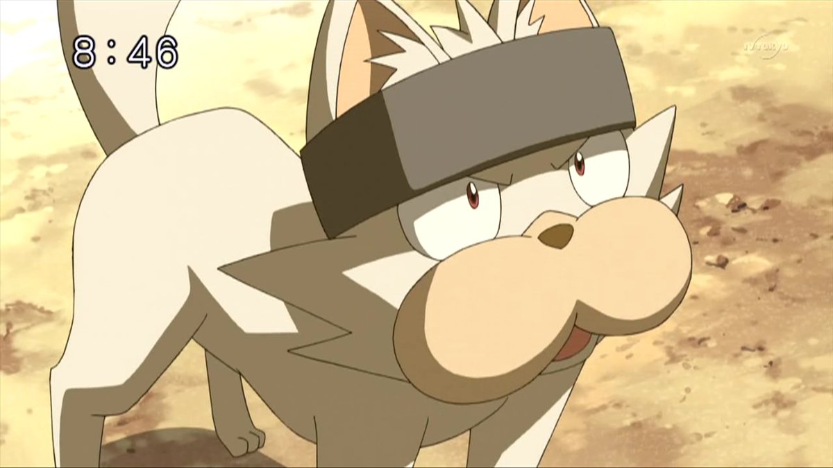 ABeybladerDog's tweet image. ❝Then are you willing to try climbing up the mountain❞ 

- not new to rp or verse
- 6+ years experience
- not that detailed, will try to be
- serious/crack RP
- #BeybladeRP|#MVRP
- crossovers are welcome
- flipped account
-retweets are appreciated

writter tag #DinosaurBlaze