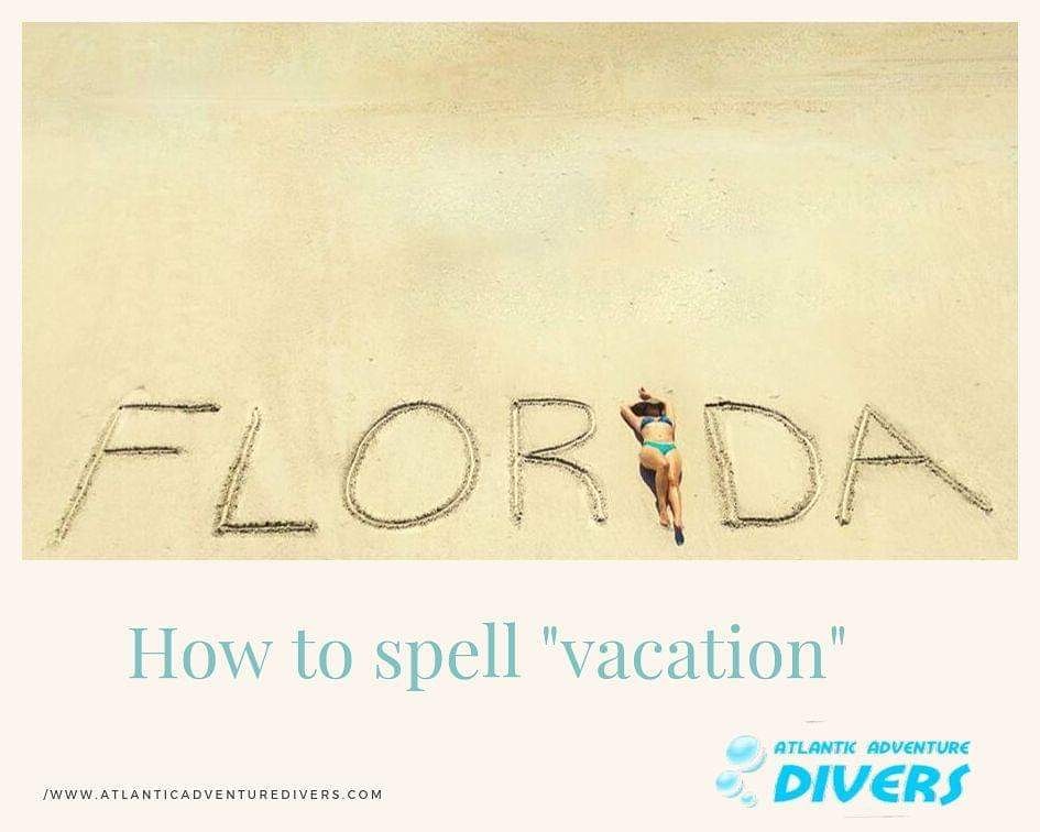 AtlAdvDivers's tweet photo. How to spell "vacation." #LoveFL
.
.
.
.
.
.

https://t.co/Dk7EJMkA7T
#atlanticadventuredivers #dive #underwaterworld #scubadiving #scuba #instadive #scubadivinggirls #divinglife #island #diving https://t.co/sVsEzKdZMR