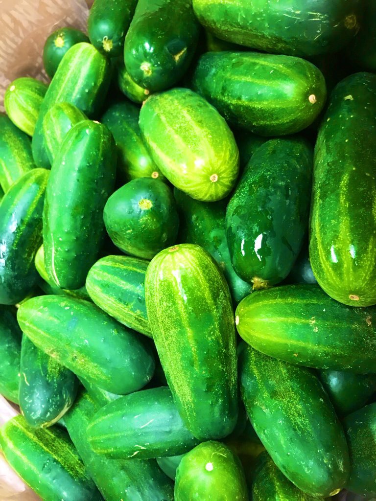 chefsebny's tweet photo. Homemade is the new #local right? Decide to make some pickles today. We will have spicy and Dill chips as well spears. Can’t wait for our #tastingfriday next week to interdouce to the @cgps #community #eatshareconnect @flikisdining #scratchcooking #chedslife #german #germanchef https://t.co/kCYs1ecfTm