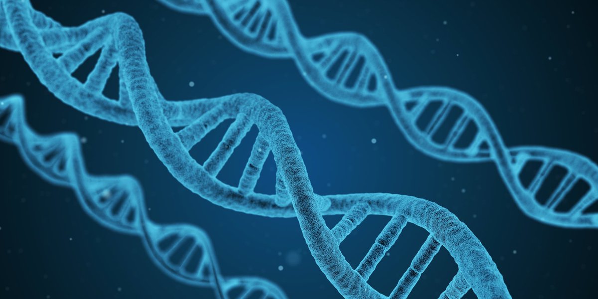 Looking for a platform where you can find and share resources, form a team, and develop a project? CitSciBio might be just the thing. Learn more: citscibio.org #citizenscience #crowdsourcing