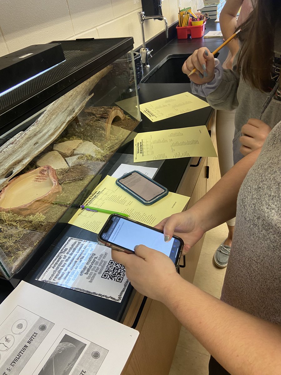 Becca Krueger tweet media