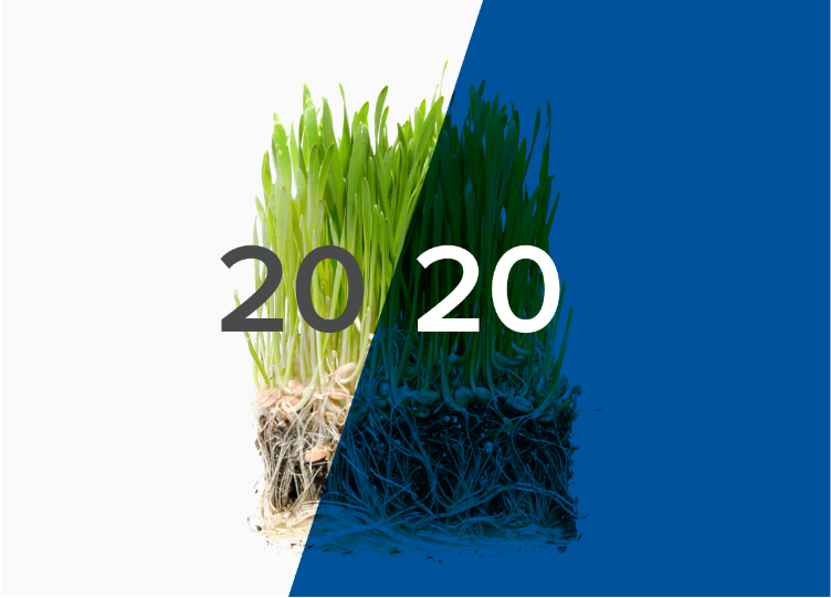 In 2019 we celebrated our 20th Anniversary and we couldn’t be more thankful for the success of our first two decades. From portfolio accolades to curated advice from our CEOs, 2019 was a big year and we’re continuing that momentum into 2020 bit.ly/30tc1mv