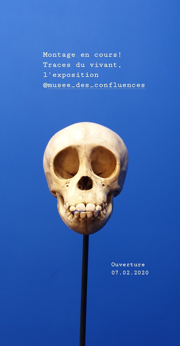 clairececile's tweet photo. Coup d'oeil en montage! Bientôt @mdc_confluences l'exposition "Traces du vivant". Ouverture le 07.02.2020 ☠ #osteologie #archeozoologie #os #squelettes #vanites https://t.co/6QQAOHUtEZ