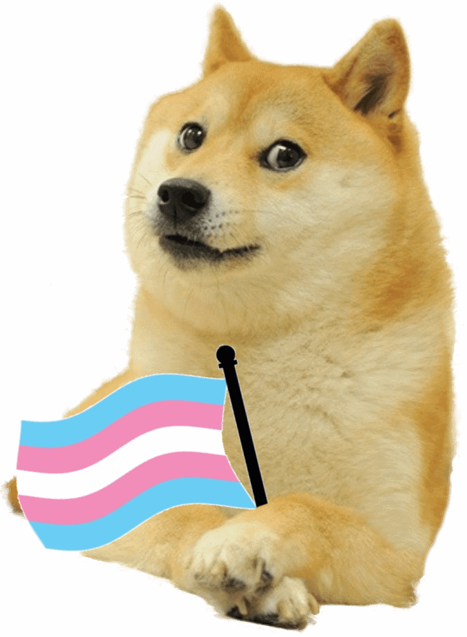themouseyouknow's tweet photo. Your gender is the last meme that you have saved. https://t.co/TsGrqVV0kA
