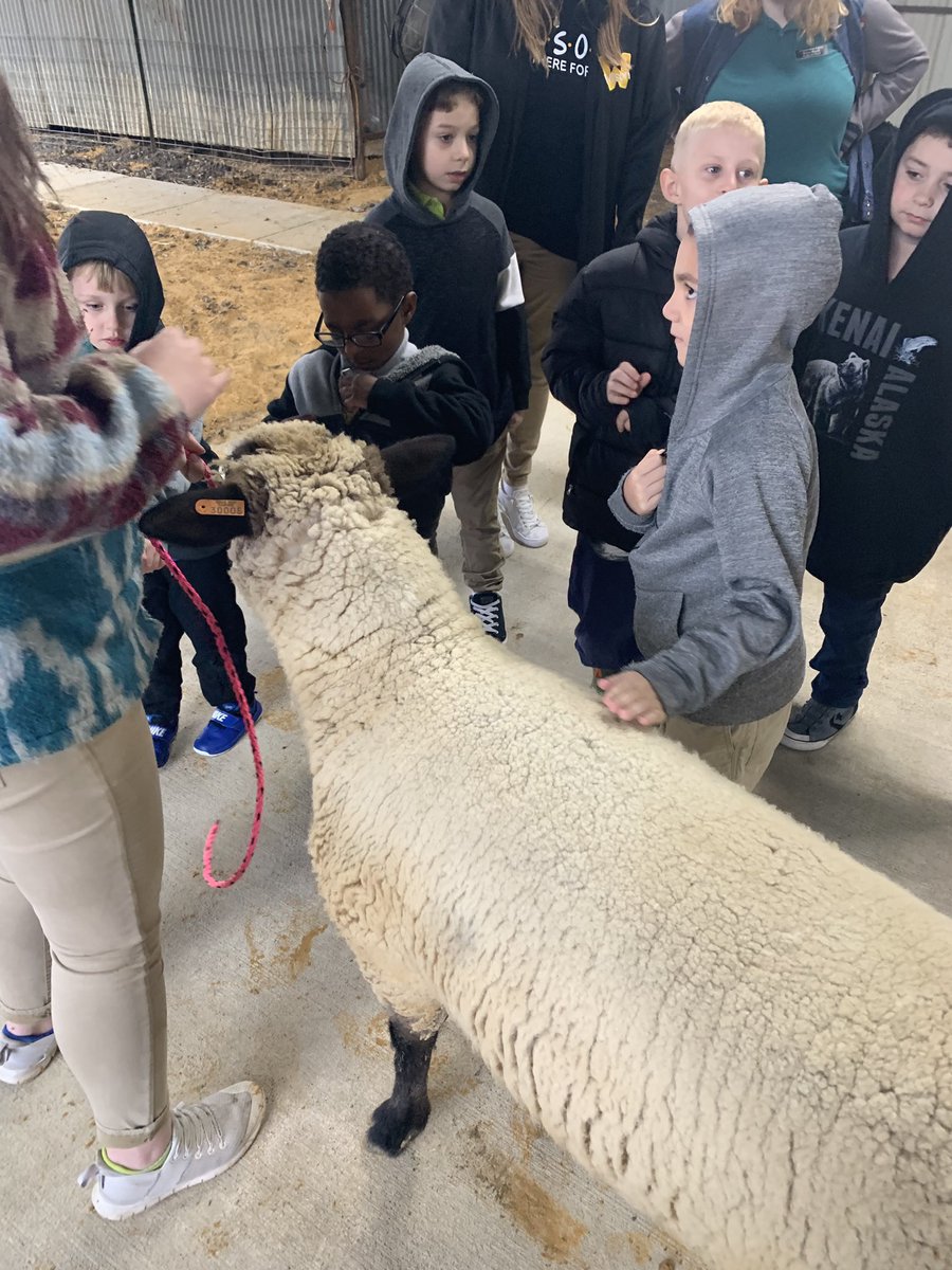 It was a little rainy but it did not stop these students from getting to visit Shepherds of Hope for their first visit!  We are excited about getting to be a part of this new program!  <a href="/OfficialCISD/">Crandall ISD</a>