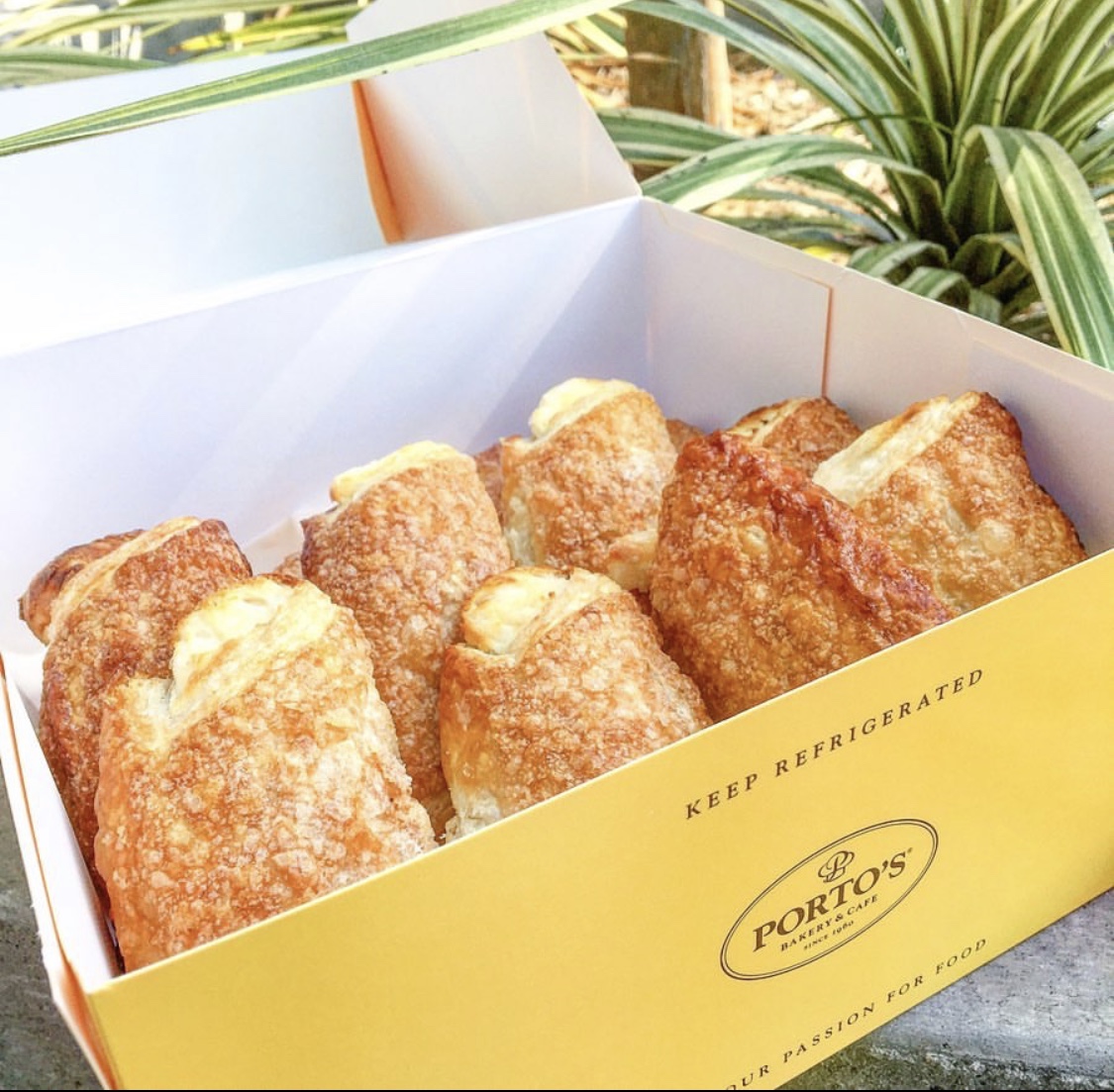 Portos tweet picture
