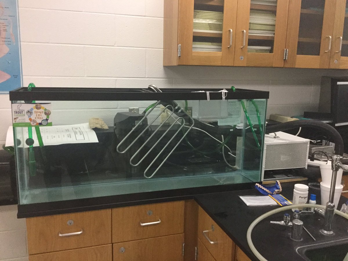 jasonebrown2's tweet photo. @NISDClark We have rainbow trout eggs here at Clark. Aquatic biology thanks #troutunlimited for the eggs and chiller to keep the water cold and the opportunity for students to see these fish develop in the class. https://t.co/YmBsfjmjFA