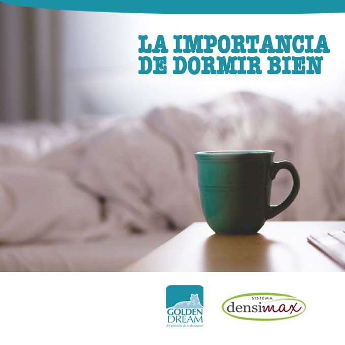 GoldenDreamSA's tweet photo. #Dormir ayuda a consolidar la memoria, pero también a reorganizar la información y a extraer los datos más relevantes, de este modo el #sueño favorece a que produzcamos #ideas nuevas y más #creativas. https://t.co/AdaSxTcKrZ