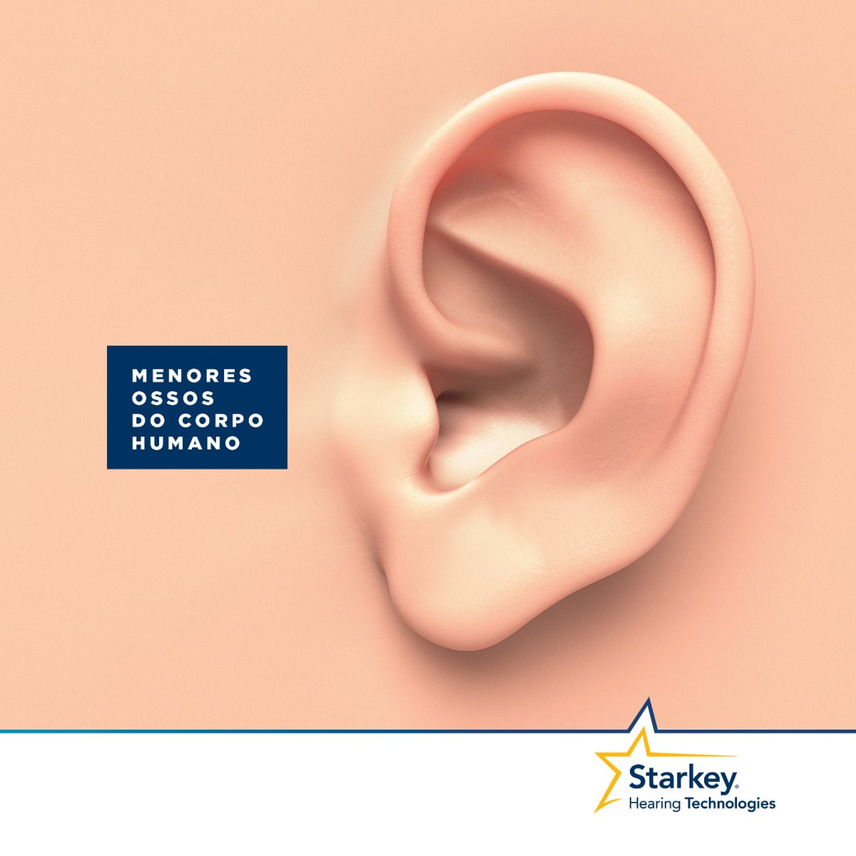 StarkeyBrasil's tweet photo. Os menores ossos do corpo humano estão nos ouvidos. A bigorna, o martelo e o estribo ajudam a transmitir as vibrações sonoras ao cérebro.

#StarkeyStrong #qualidadedevida #prevençao #audiçao #aparelhosauditivos #perdaauditiva #surdez #starkey #centroauditivo https://t.co/z1hPTEO0eX