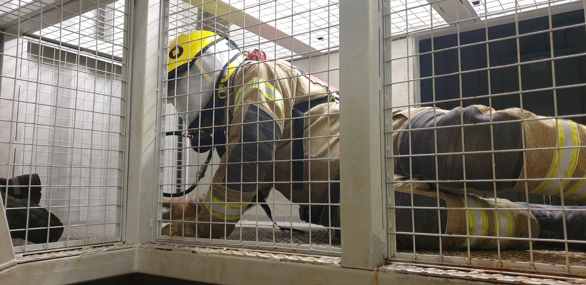 ERRI Training tweet media