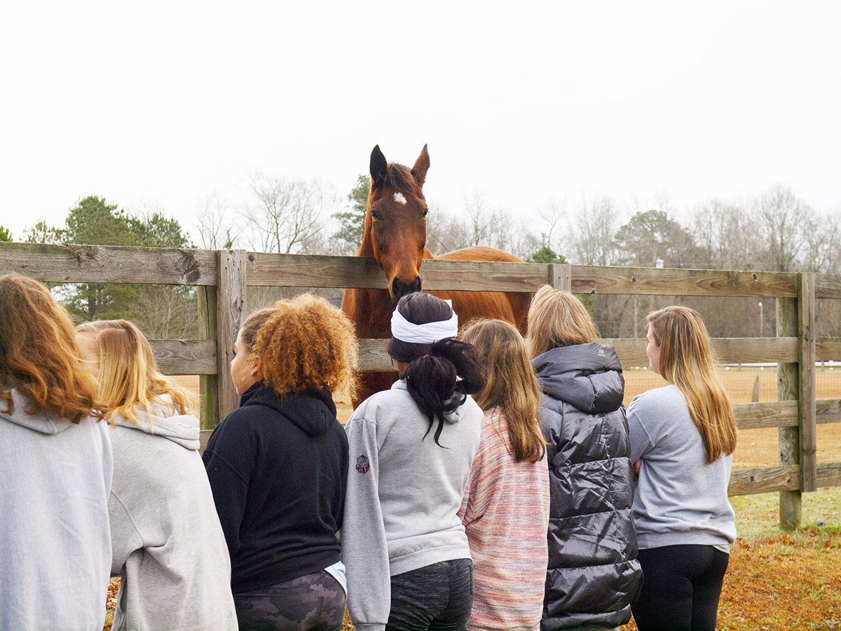 SaintMarysNC's tweet photo. Inspirational Seminar Program experience for @SaintMarysNC 10th-graders at Teaching Horse Farm learning from horses about leading through uncertainty! Turns out, horses can teach us a lot about leadership! @june_gunter #teachinghorse #SeminarProgram #dobigthings #youvegotthis https://t.co/oble73gLss