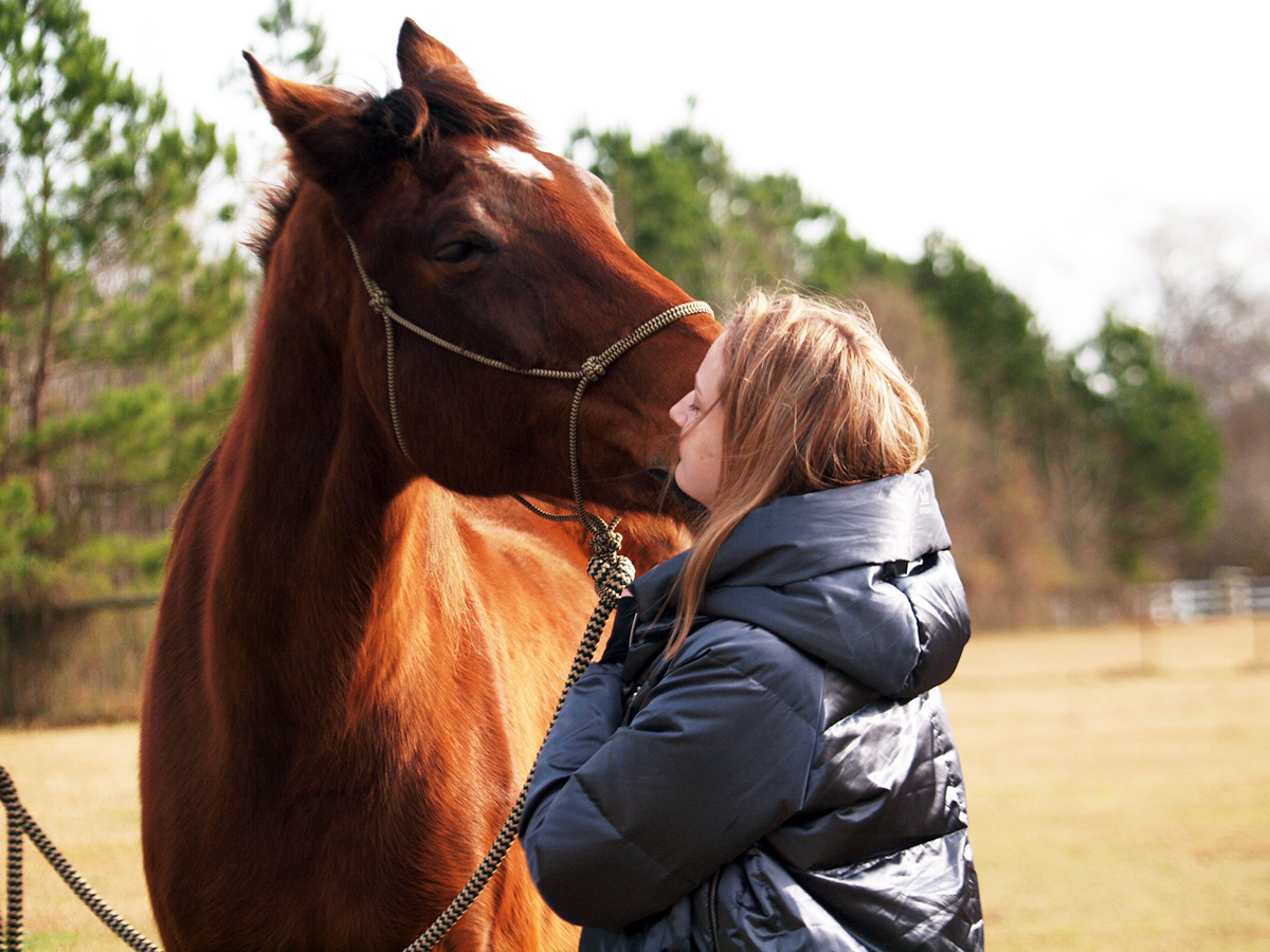 SaintMarysNC's tweet photo. Inspirational Seminar Program experience for @SaintMarysNC 10th-graders at Teaching Horse Farm learning from horses about leading through uncertainty! Turns out, horses can teach us a lot about leadership! @june_gunter #teachinghorse #SeminarProgram #dobigthings #youvegotthis https://t.co/oble73gLss