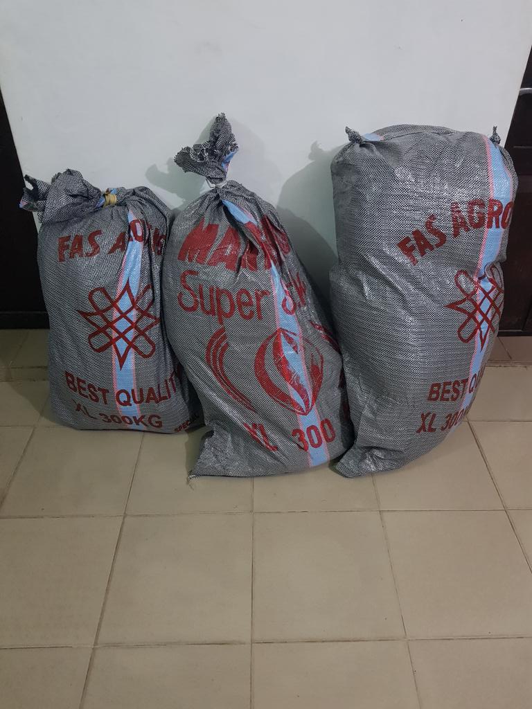 zodo2rule's tweet image. We move in sacks now. Order your plain tees and polos from your boy! #sales #containerloading