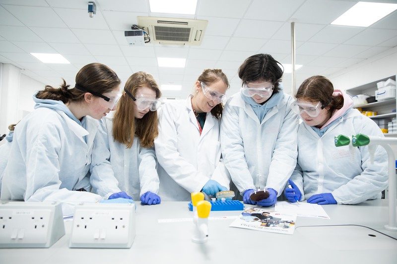 Norma Welch tweet media