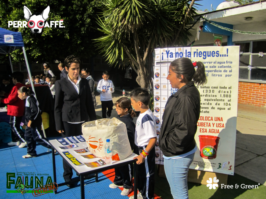 ipebiosfera's tweet photo. Educando a los niños en temas ambientales, para que este preparados para los problemas del futuro y puedan prevenirlos. 
#nature #environment #eco #green #photography # #ecofriendly https://t.co/eOBAaIm0t0