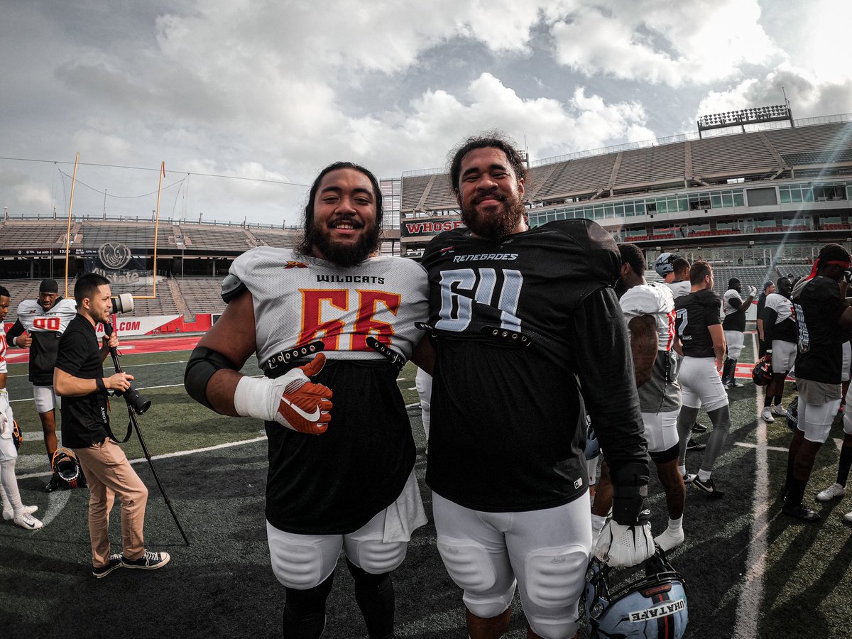 Los Angeles Wildcats tweet media