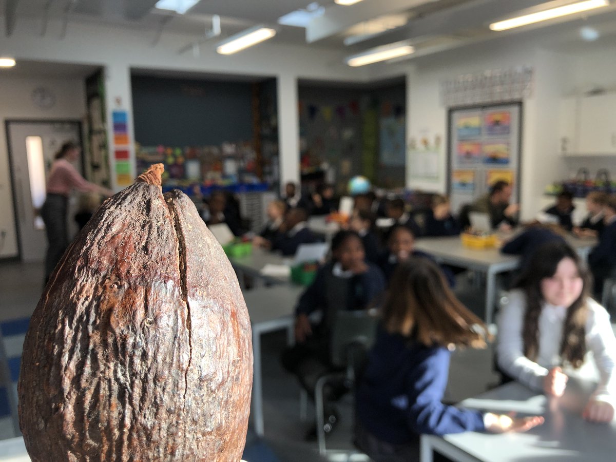 AlbionPrimary's tweet image. This week Year 5 had truly informative, engaging, and interactive workshops provided by the Chocolate Museum. They learnt about the history of chocolate - so see chocolate with different eyes now! Plus made their own chocolate truffles! #APSPupilWorkshops