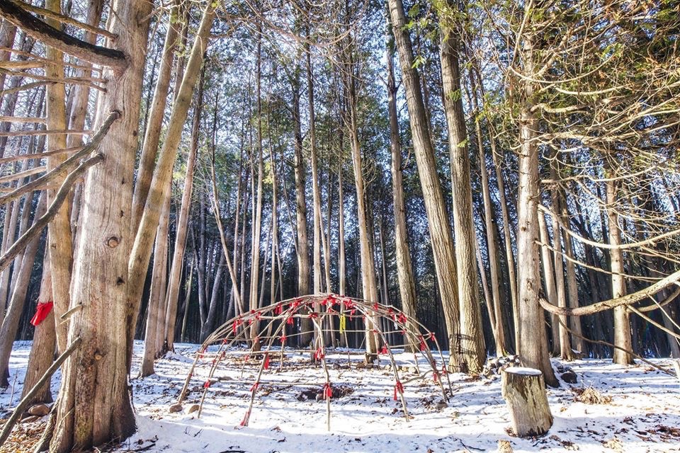 HiveCentreStay's tweet photo. Lovely #winter photographs by @barrybest4 - courtesy of @centralcountiestourism. #nature #onlyinclarington #durhamtourism #yorkdurhamheadwaters https://t.co/8zkLQsW3SC