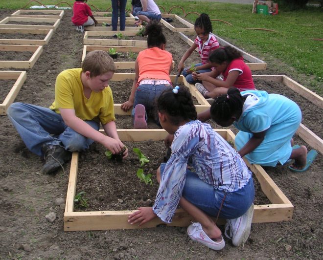 A person’s postal code can be a more reliable determinant of #health than their genetic code.🧬 

#Placemaking can improve #publichealth by building community, shifting behavior, and providing public access to resources like fresh food and greenery.