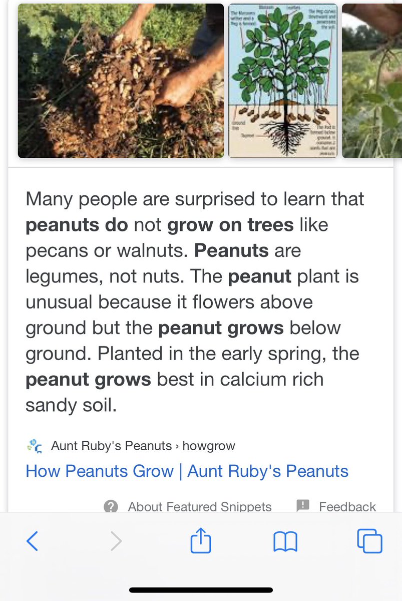 Gabepaty19's tweet photo. Peanuts are beans not nuts. This should shock everyone https://t.co/7jbSLTaZhR