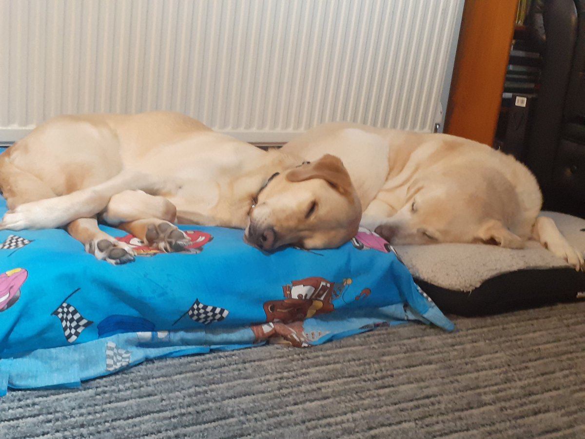 andycorky's tweet photo. Struggling to spot the difference  xx https://t.co/KG4xmYjTRQ