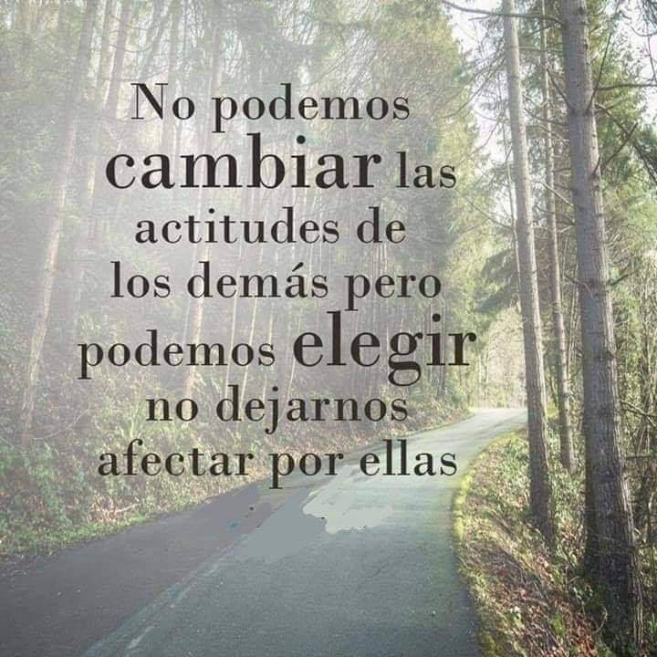 !KevinColomna ツ tweet media