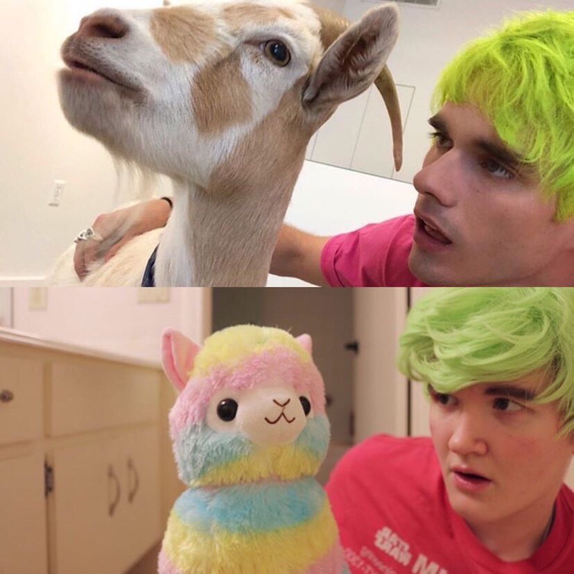 ARHdrris's tweet photo. Am I tHe BoY yOu DrEaMeD oF☁️
@awsten @waterparks @underscoregeoff @JawnRocha #waterparks #waterparksband #parx #streamfandom #dreamboy https://t.co/tMVYdVROuU