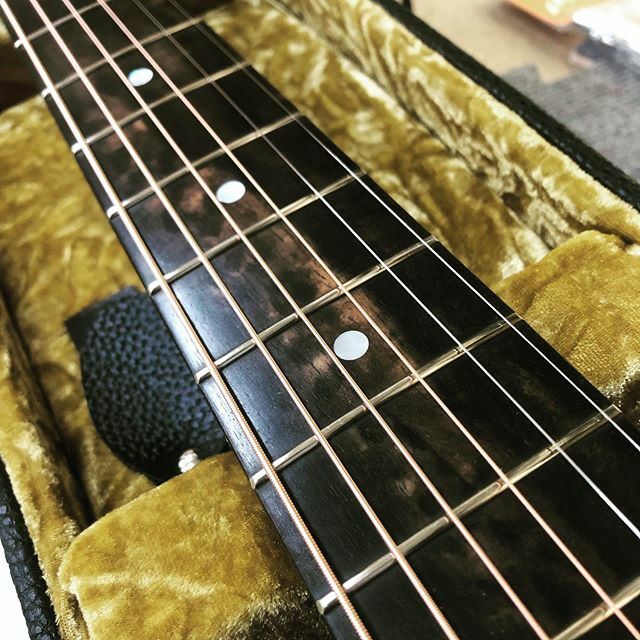 matonjapan's tweet photo. Streaky Ebony  like a Burl.

#メイトン #maton #streakyebony  #ebg808 #nashville https://t.co/E3S76wnr1q