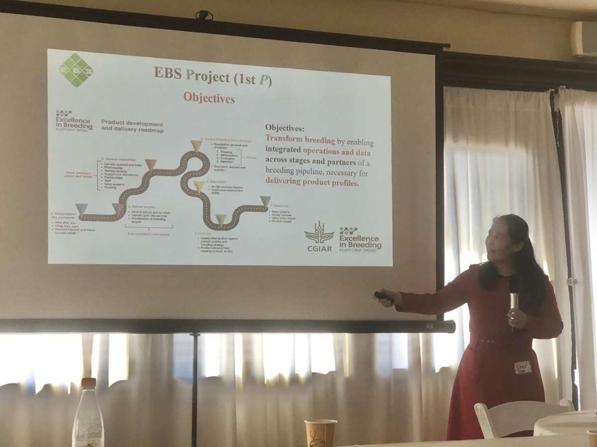 stargao3's tweet photo. Informative #HTPG project updates, @GOBII_DB tool demo! Energizing breakout #decision_support, #genotyping, #Adoption. True #partnership @Diversityarrays, @HuttonICS , @Intertek, @Bayer4Crops, @corteva, @Cipotato, @CIMMYT, @irri @IITA_CGIAR, @CGIAR, @Cornell https://t.co/NmxeejdC0G
