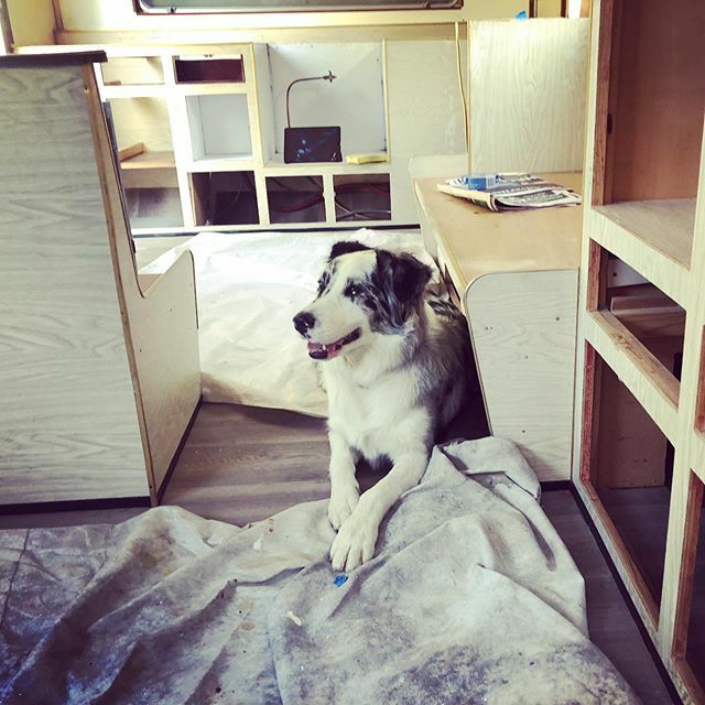 My apprentice <a href="/bruce/">Bruce Clark</a>.the.aussie isn’t really pulling his weight today. #caravanaustralia #caravanrenovation #etheltoursaus #etheltoursoz #vanlife #vanlifeaustralia #restoration #franklincaravan #franklincaravans #aussiesdoingthings #southaustralia ift.tt/30s17xi