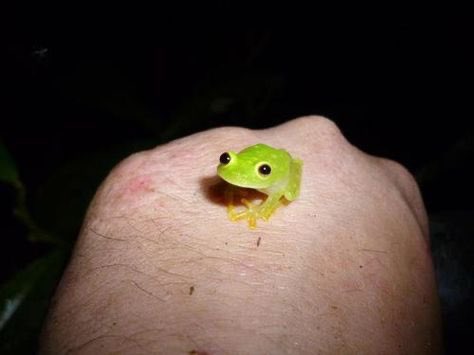 Kabu (@kabu_ebooks) on Twitter photo 