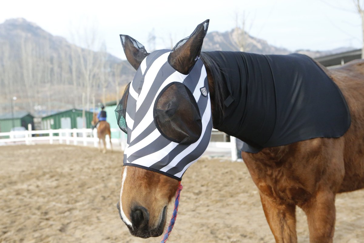 HHequestrian's tweet image. Harrison Howard new product is coming real soon! #harrisonhoward #zebrapattern #flymasks