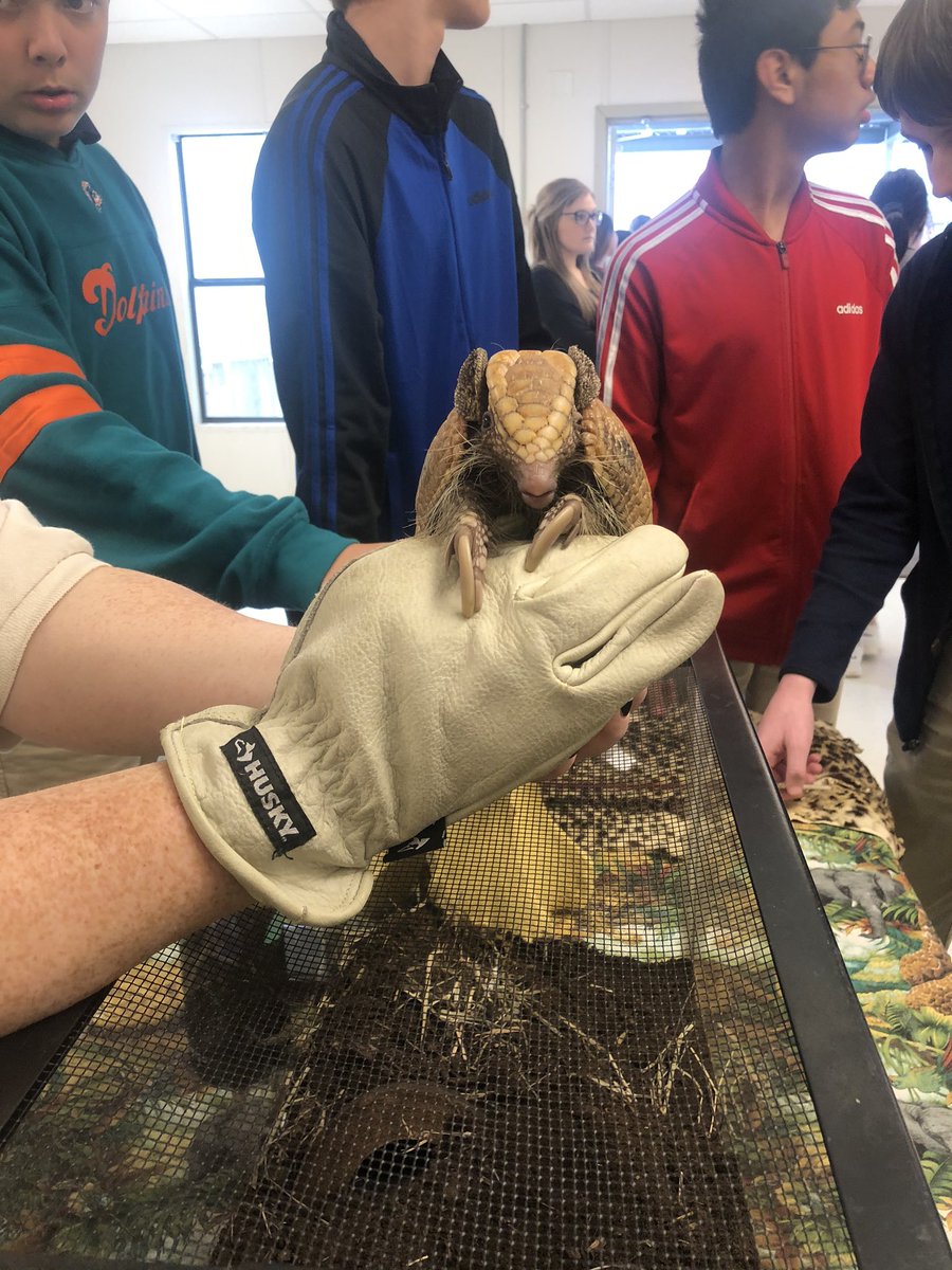 It was a great day to be Buccaneer! Thank you everyone for the baby shower #feelz + plus the zoo paid us a  little visit!🐍🐢🦔 #southsideallin  <a href="/GoBucsSJHS/">Southside Jr. High</a>